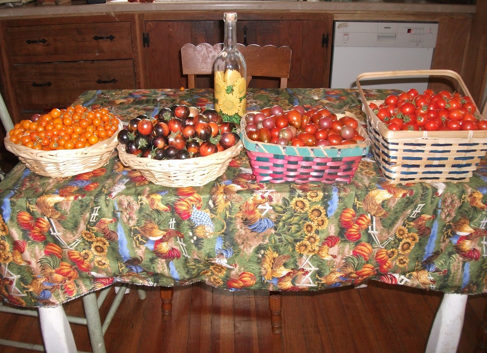 Tomato variety